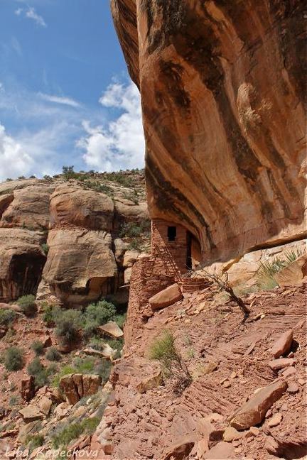 Ruins in Indian Creek