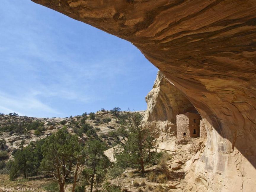 Tower House side view