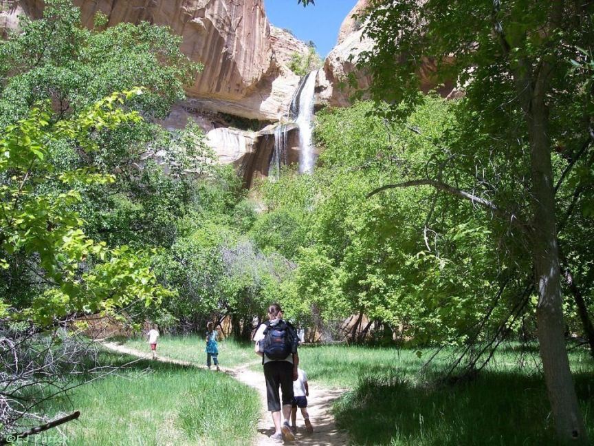Trail to Lower Calf Creek Falls