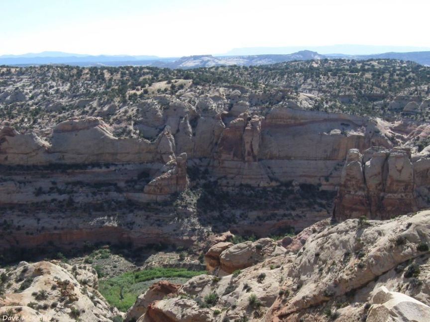 Looking into Calf Creek Canyon