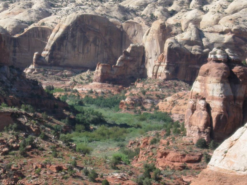 View into the canyon
