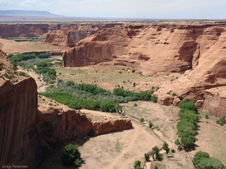 View from South Rim Drive