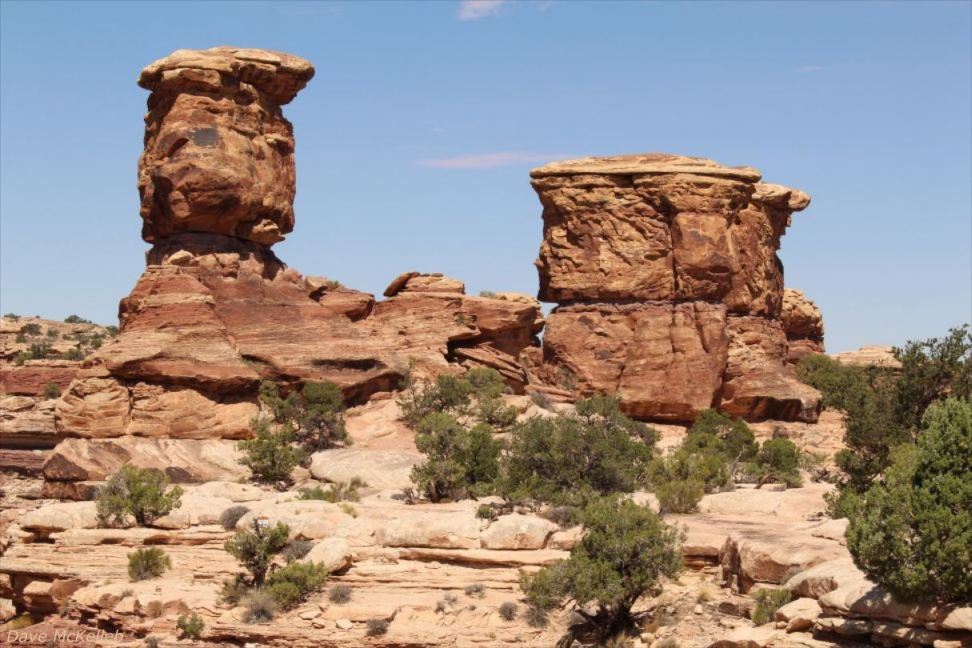 Geology in Canyonlands