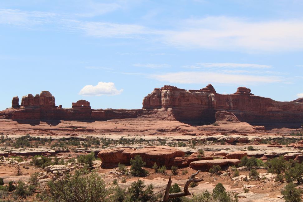 Geology in Canyonlands