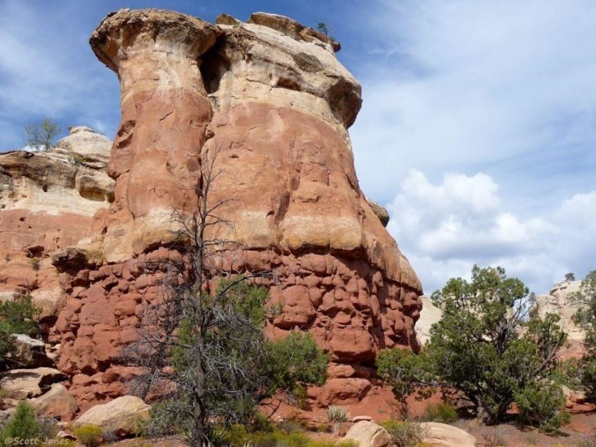 Geology in Sand Canyon Pueblo