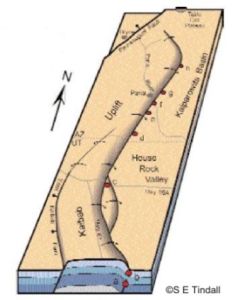 graphic of Cockscomb