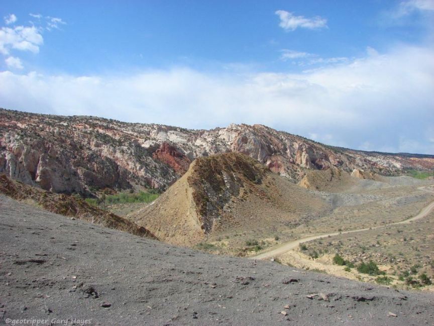 Multi-color Cockscomb