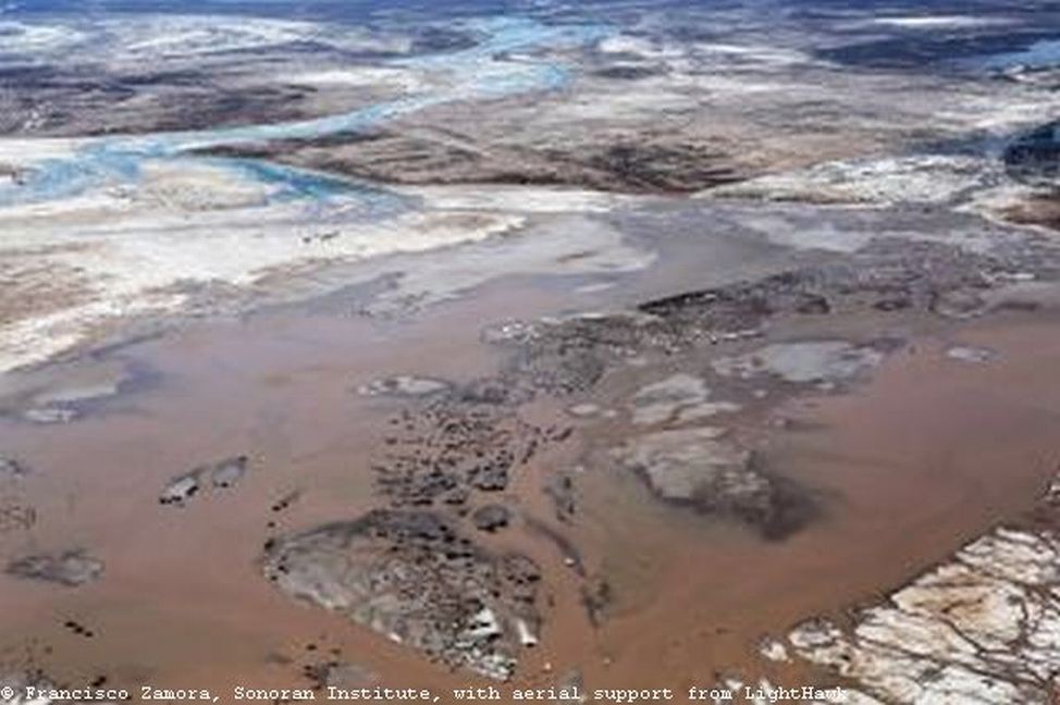 Colorado River delta after pulse