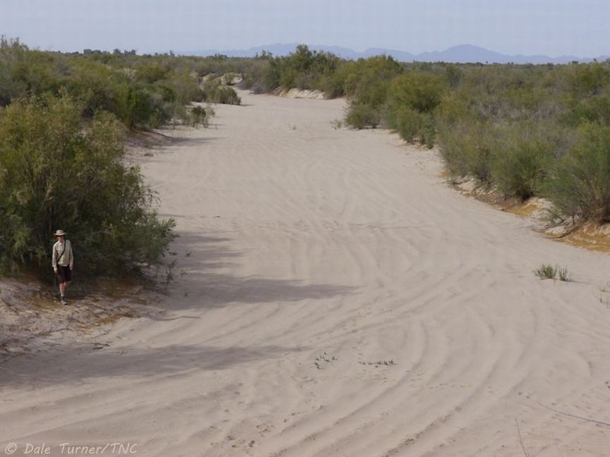 Colorado before pulse