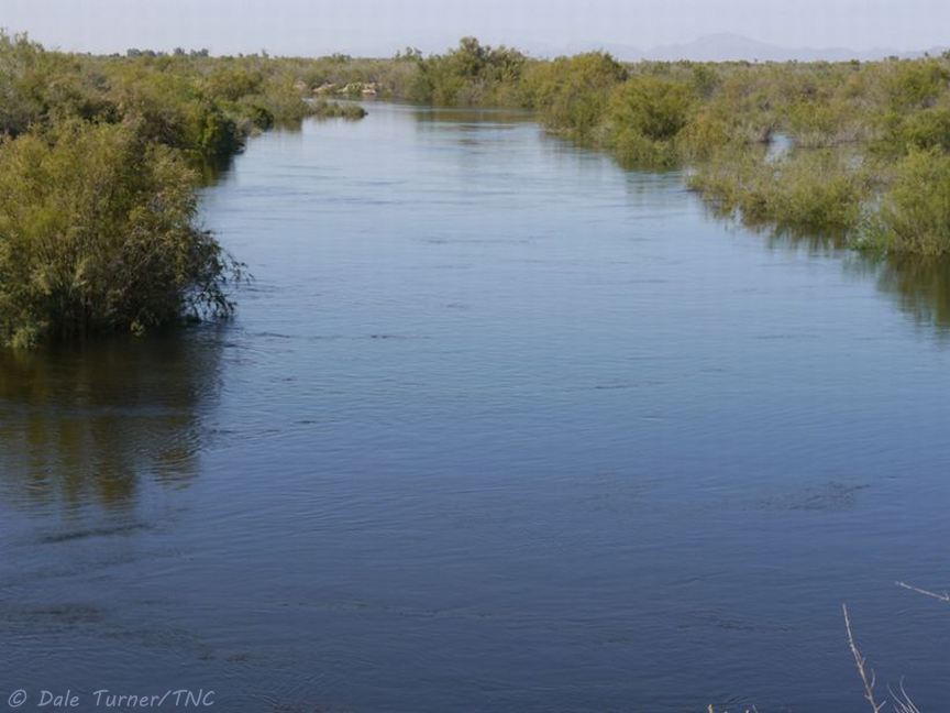 Colorado after pulse