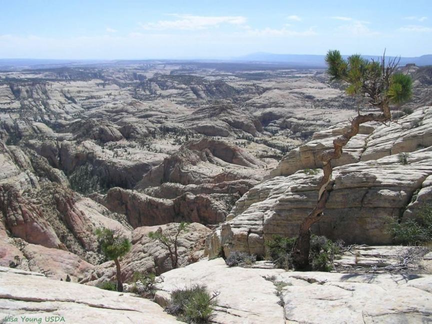 Death Hollow Wilderness