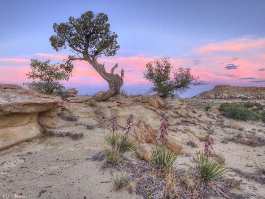 Sunset in Ojito Wilderness