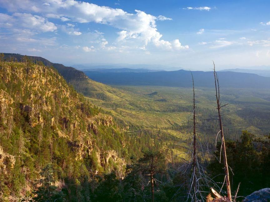 Mogollon Rim