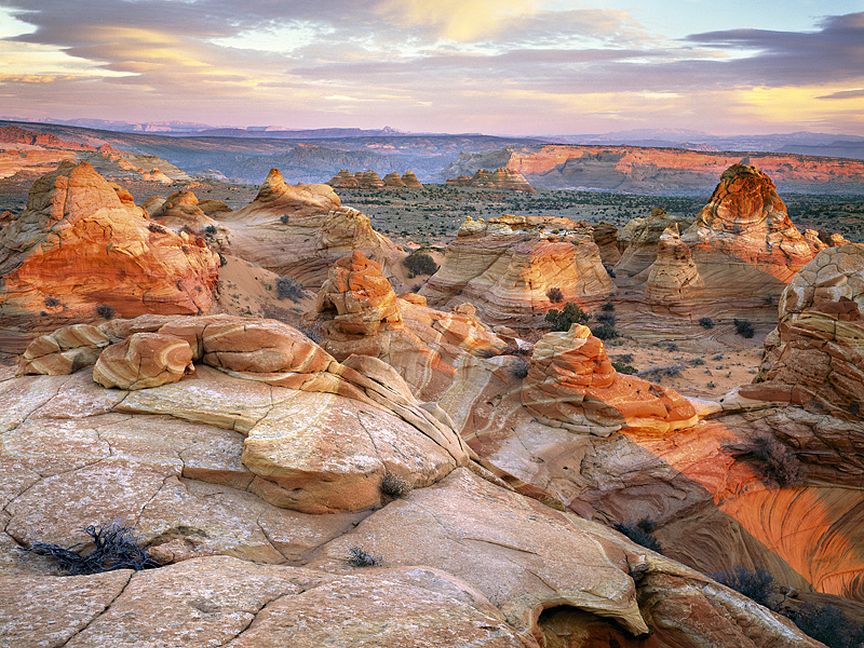 South Coyote Buttes