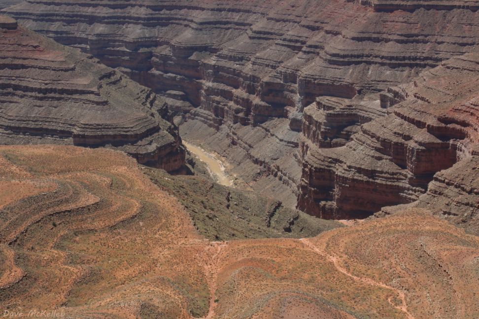 Goosenecks from Muley Point