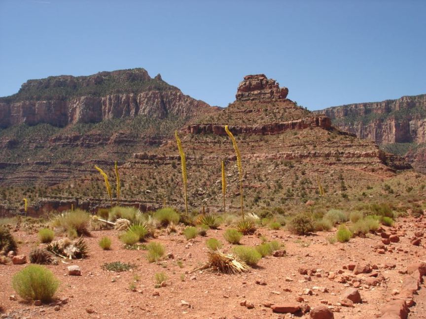 Scenery Photo Steve 25