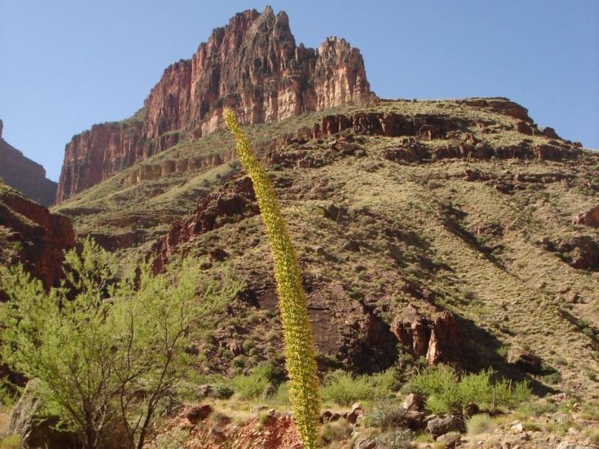 Scenery Photo Steve 63