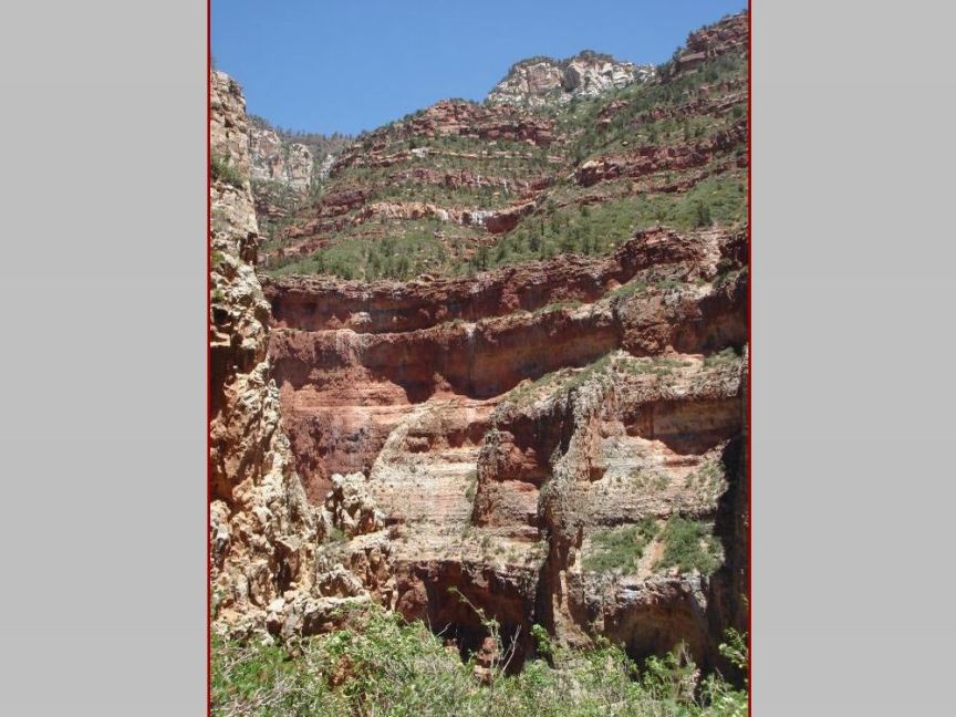 Scenery Steve Photo 80