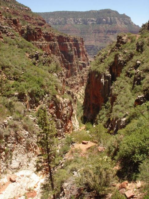 Scenery Steve Photo 82