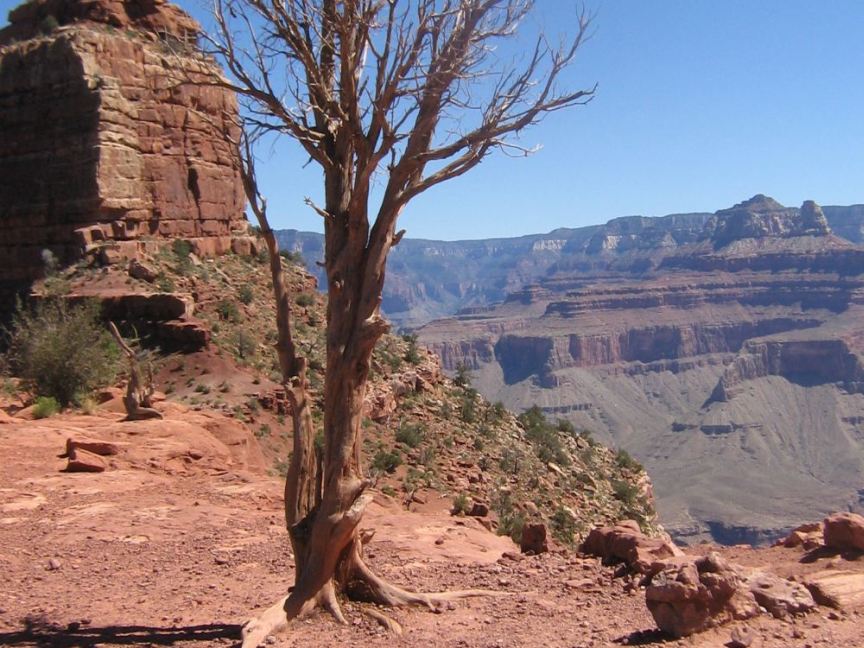 Scenery Photo Susan 11