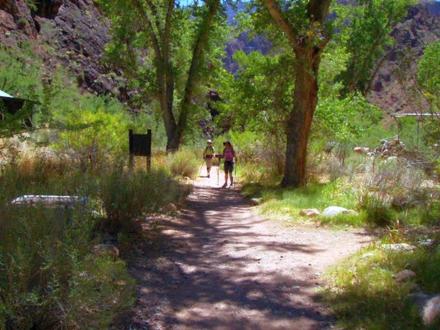 On the Trail Dave 39