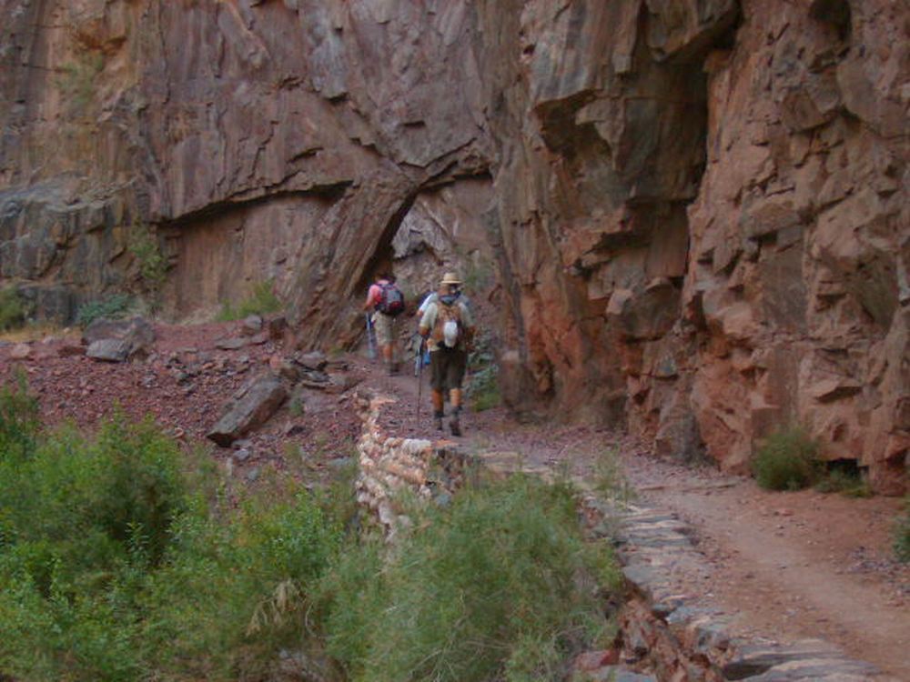 On the Trail Dave 41