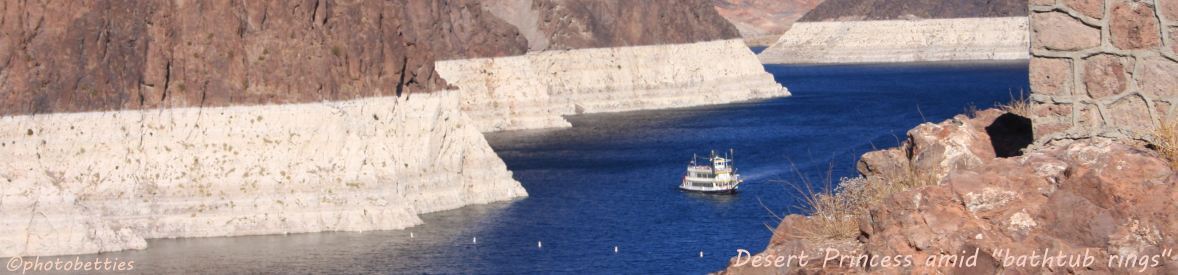 Desert Princess in Black Canyon