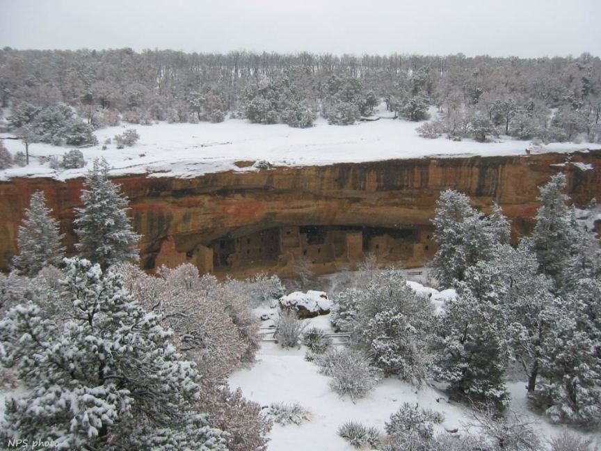 Spruce Tree House in Winter