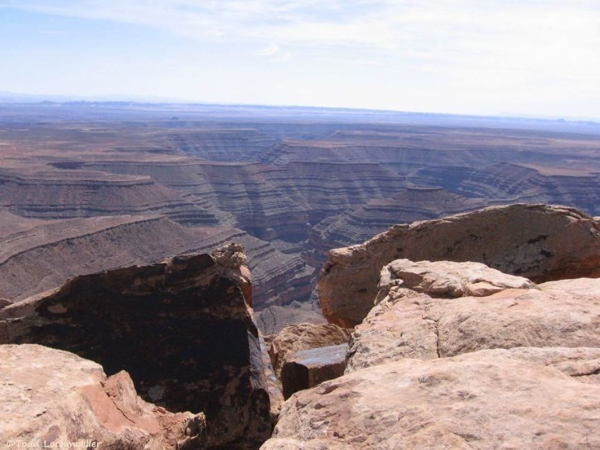 Goosenecks from Muley Point