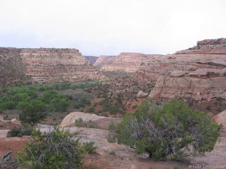 Entering Mule Canyon
