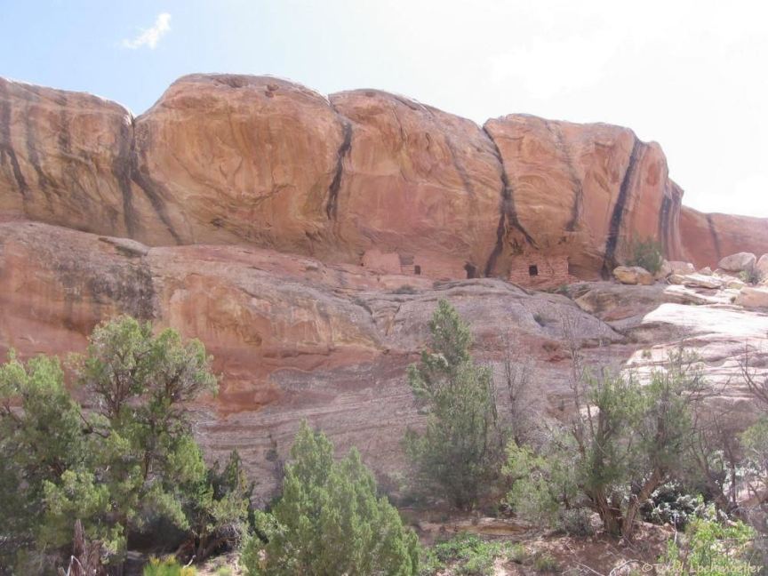 Lower side canyon ruin
