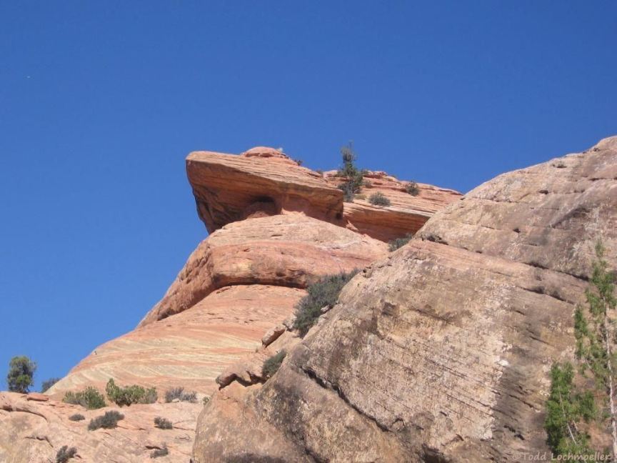 Granary under the ledge