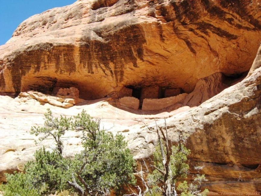 close-up of 2 alcoves