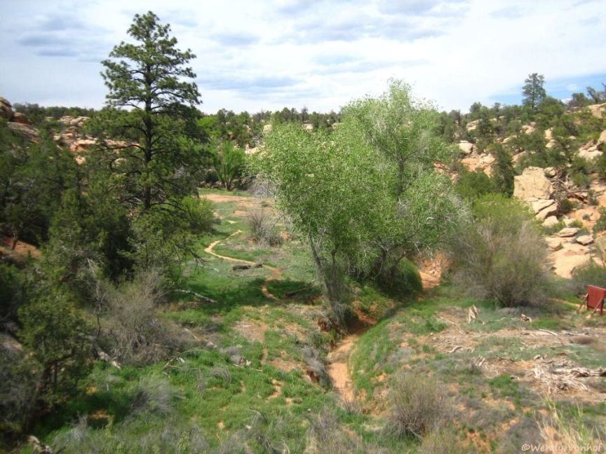 South Fork Trailhead