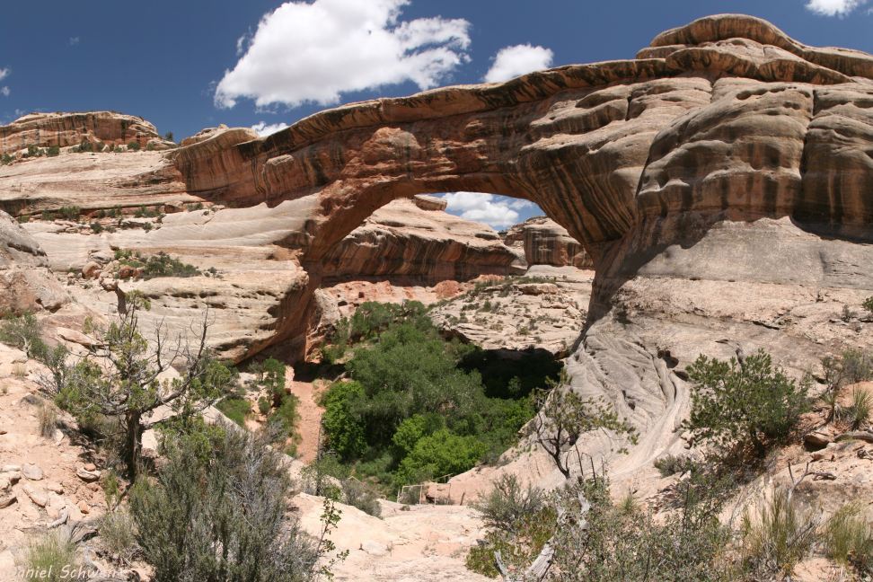 Sipapu Bridge from the trail