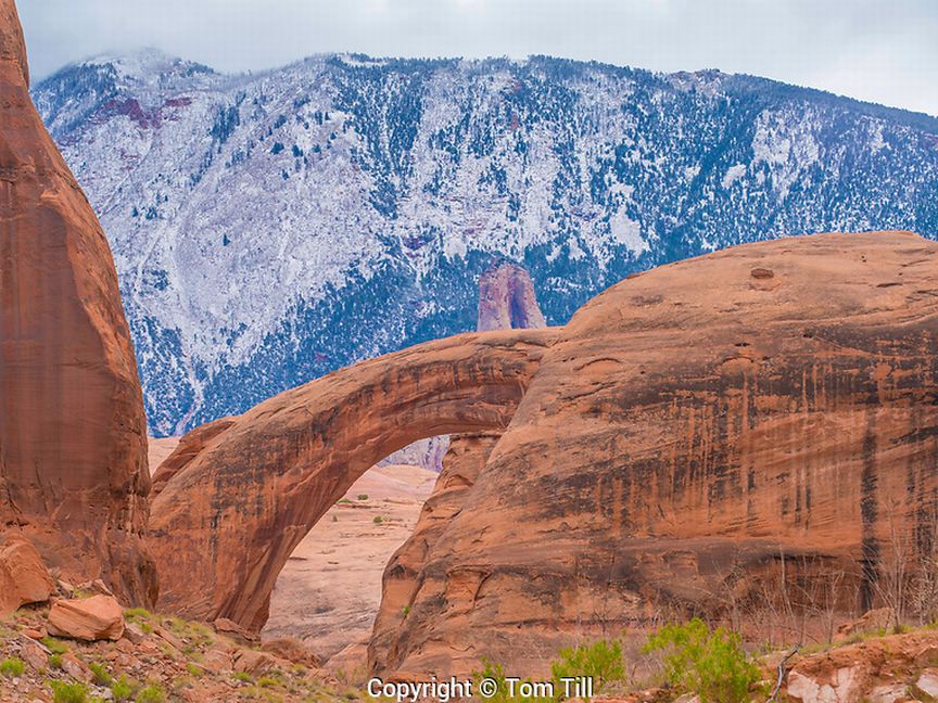 Rainbow Bridge & Navajo Mountain