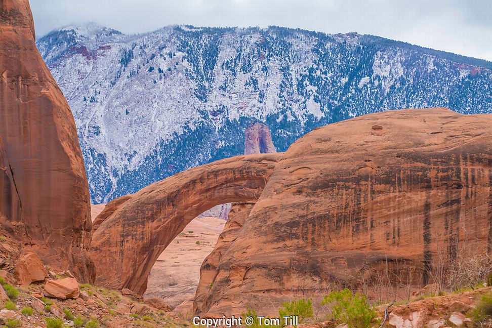 Rainbow Bridge & Navajo Mountain