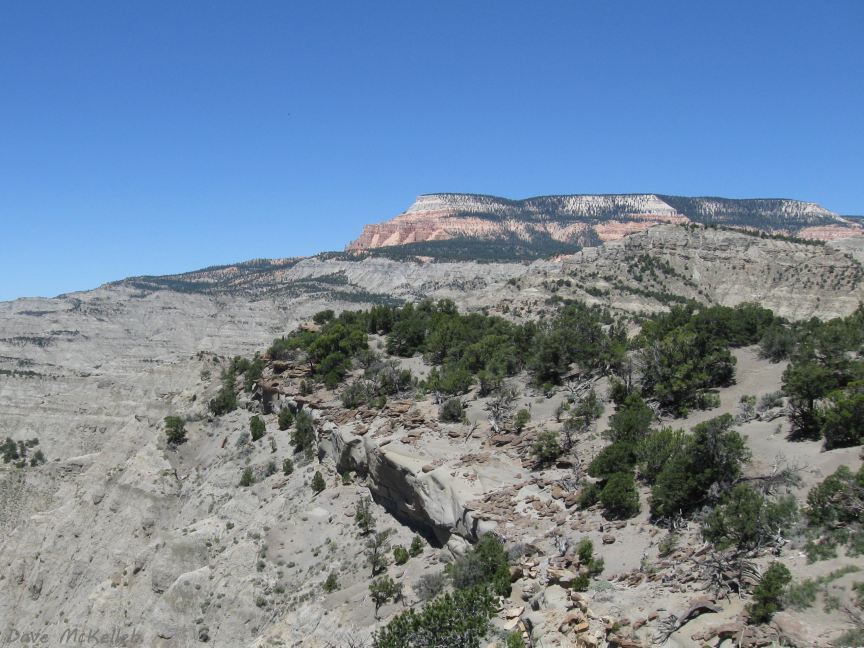 Powell Point and the Blues