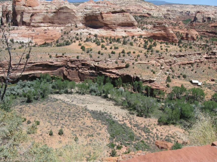 Escalante Canyon