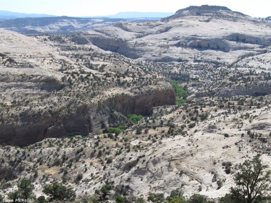 View from the hogback