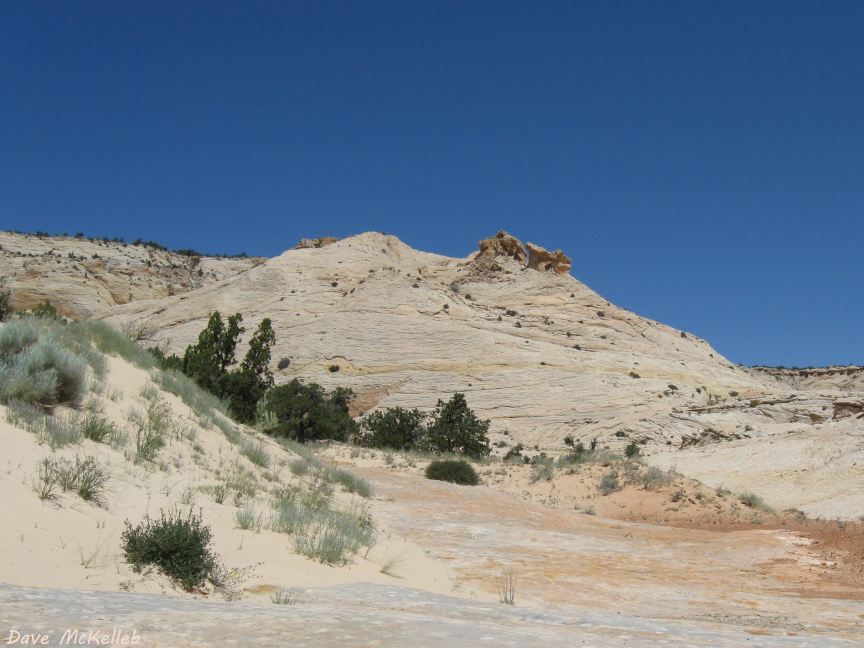 Petrified Sand Dune