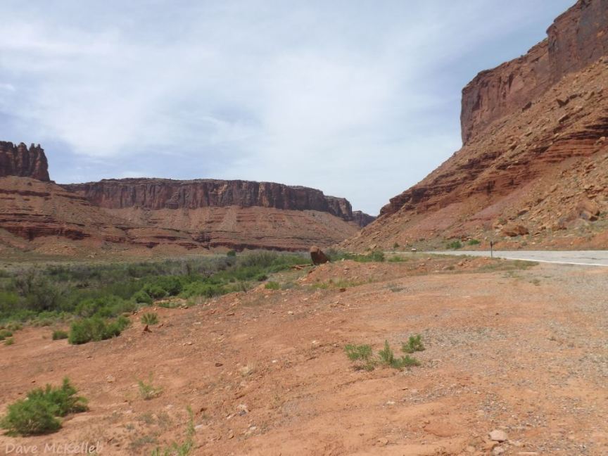 Looking back into the canyon