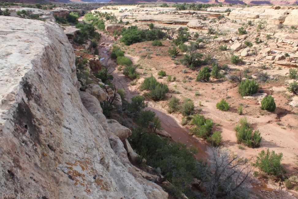White Canyon from a ledge