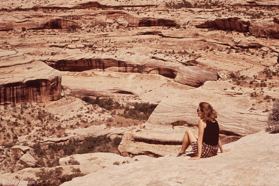 White Canyon near Sipapu