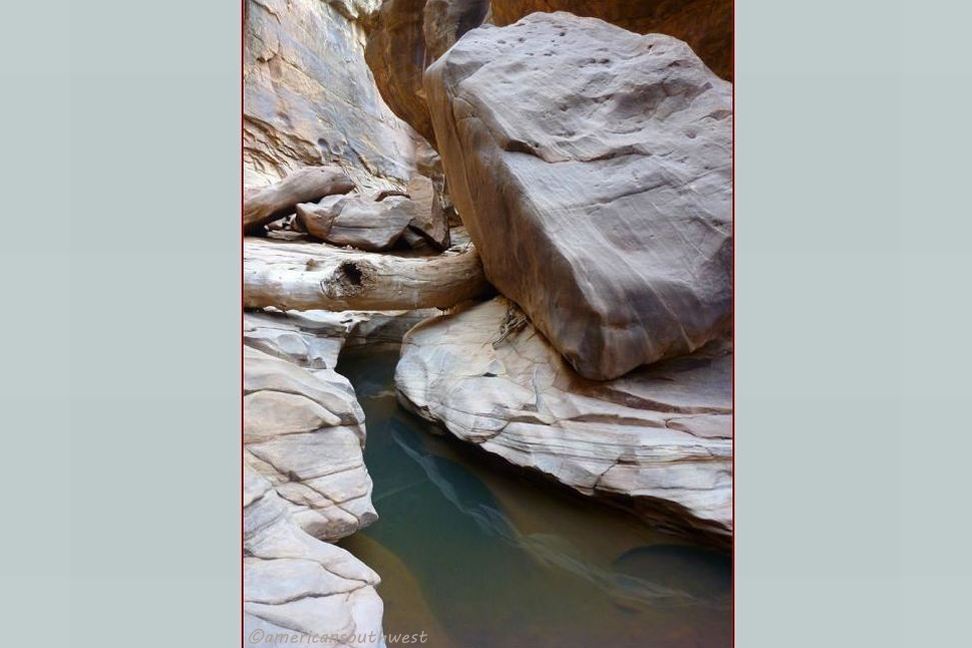 Black Hole with boulder and log