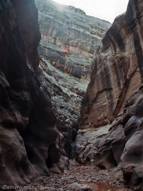 Deep section of the canyon